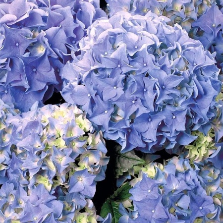 b78f765d-df6f-11e4-ab27-001e673ebdea-1