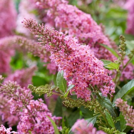 8b830ae0-cec1-11f0-891e-246e9611e8f6-1