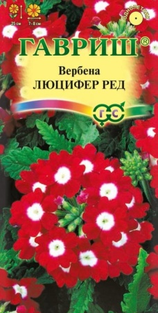 6a97b628-dcea-11dd-9138-00500454e615-1