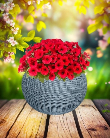 c1b08d2e-da85-11f0-891e-246e9611e8f6-1