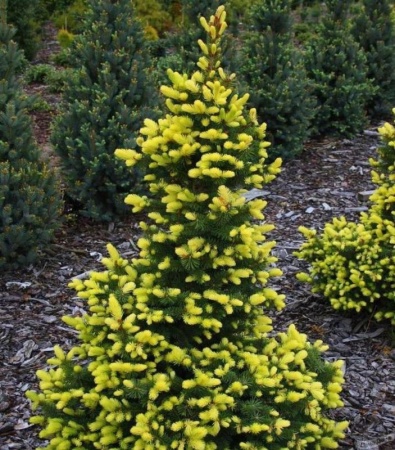 857e7203-d046-11f0-891e-246e9611e8f6-1