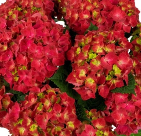 7de59f43-ce96-11f0-891e-246e9611e8f6-1