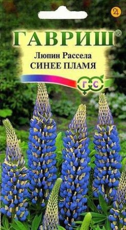 224fa5f2-c5f8-11de-87ad-0019dbe91ea3-2