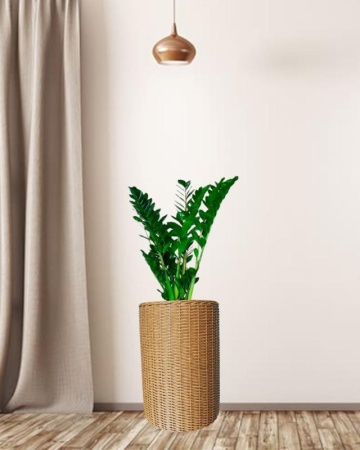 120ec126-df0e-11f0-891e-246e9611e8f6-1