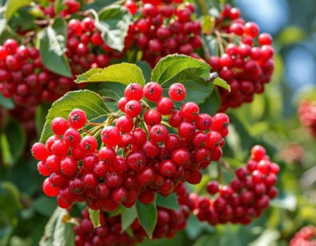 49582bd6-bad3-11f0-891d-246e9611e8f7-1