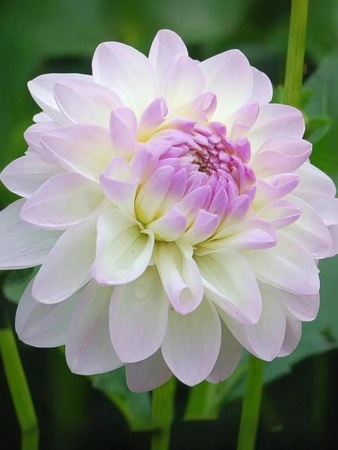 ab1ed6e6-2dbb-11e8-a7ea-005056c00008-1