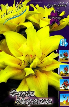 8c6da5b5-675c-11ed-bd4c-001e673ebdea-1