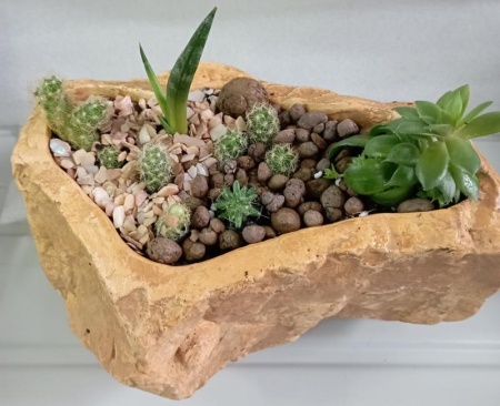 66e99e19-54a7-11ef-8910-246e9611e8f6-1