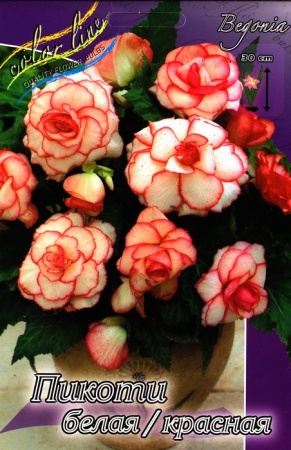 cc05eaa2-6f32-11ec-8bcd-005056c00008-1