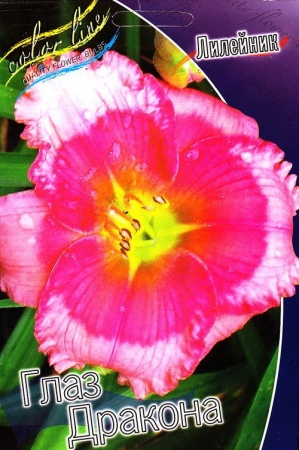 016beba4-3e12-11df-884b-0019dbe91ea3-1