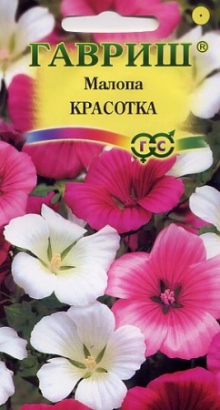 834cf324-dcea-11dd-9138-00500454e615-2