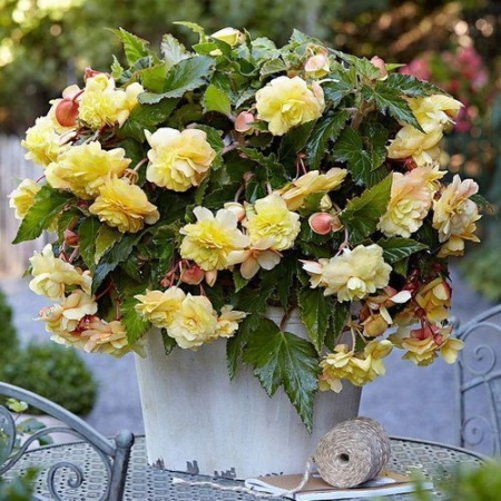 84bd9a85-cf6f-11f0-891e-246e9611e8f6-2