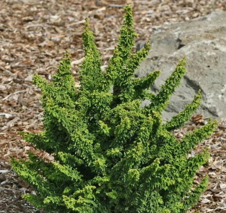 0c20aaaa-d40d-11f0-891e-246e9611e8f6-1