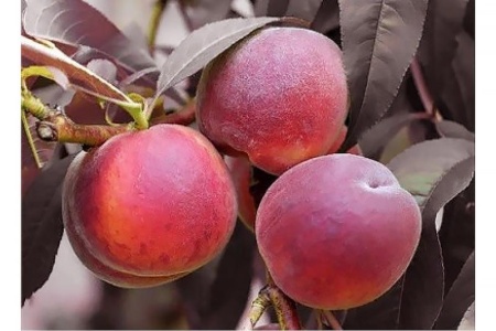 f51b08a3-cc04-11ef-8915-246e9611e8f5-1