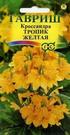 7d524d8b-dcea-11dd-9138-00500454e615-2