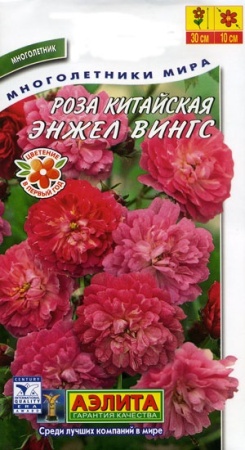 9b4cfe73-dcea-11dd-9138-00500454e615-2