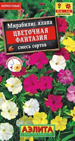 132d59dc-5556-11e0-bbbf-00500454e615-1