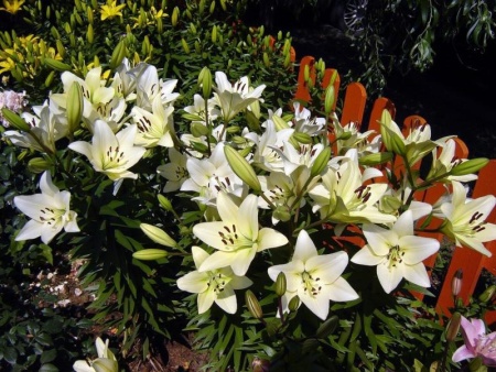 eae1e955-6758-11ed-bd4c-001e673ebdea-1