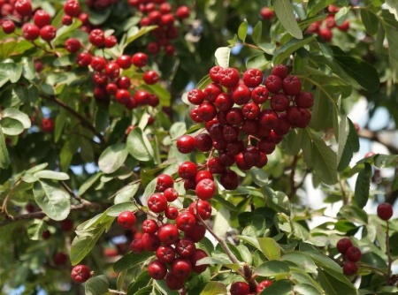 d7ef89ed-bae6-11f0-891d-246e9611e8f7-1