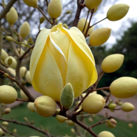 def9d81a-74a0-11ec-8bcd-005056c00008-1