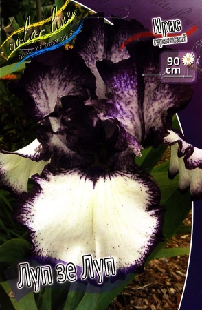 a8ce74dd-2c07-11df-8832-0019dbe91ea3-1