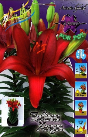 50ac7a05-0fd8-11df-8808-0019dbe91ea3-3