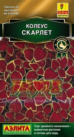 8557cf82-4d25-11e3-98e1-00500454e615-2