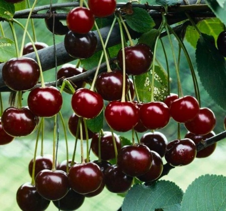 02b21069-be39-11f0-891d-246e9611e8f7-1