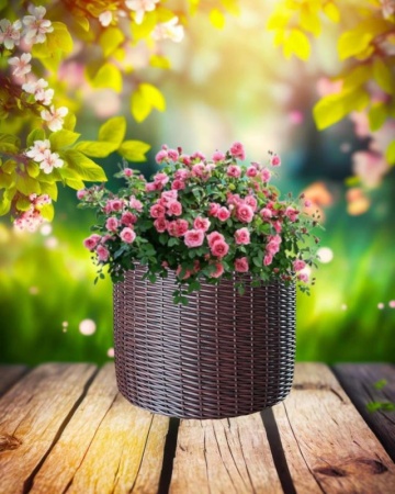 71897742-df12-11f0-891e-246e9611e8f6-1