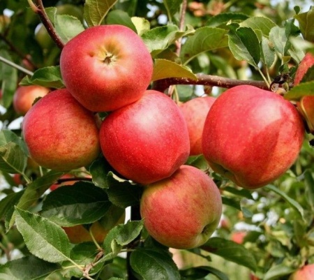 e343b42d-bb09-11f0-891d-246e9611e8f7-1