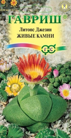 834cf1bb-dcea-11dd-9138-00500454e615-1