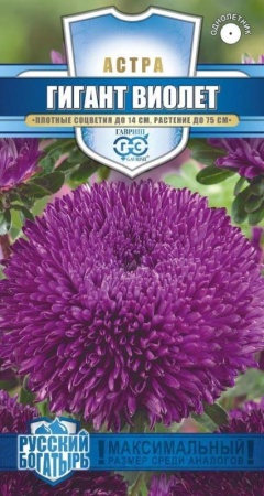 ae468581-1b97-11e8-9db1-005056c00008-1