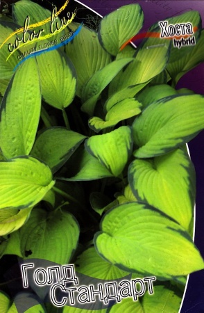 93ad9e63-2cd2-11df-8833-0019dbe91ea3-1