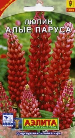 834cf2ec-dcea-11dd-9138-00500454e615-2