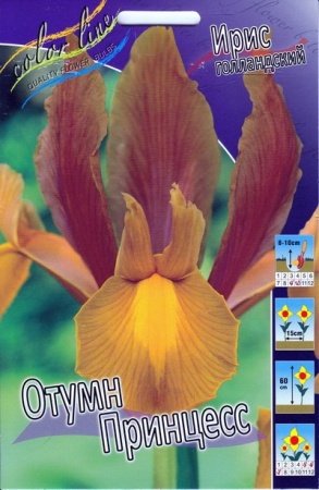 185eff60-c4c0-11e0-bcea-00500454e615-1