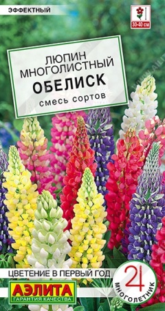 8d95a1b4-0b3b-11ec-a8a4-005056c00008-1