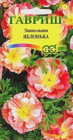 aee7d925-e2a7-11df-b975-0019dbe91ea3-1