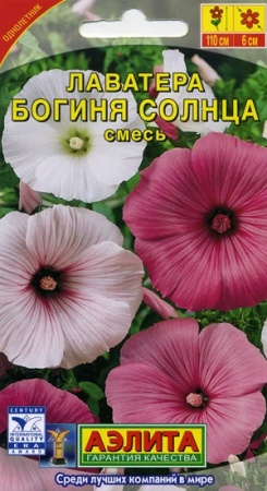 7d524ded-dcea-11dd-9138-00500454e615-2