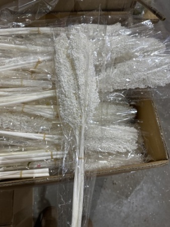 73123c1a-9d06-11ef-8912-246e9611e8f7-1