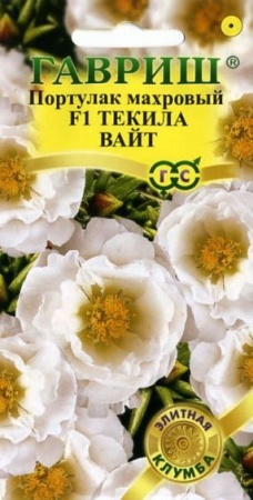 21433db3-c797-11de-87ae-0019dbe91ea3-2