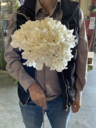 f29bc21d-f032-11ef-8915-246e9611e8f5-1