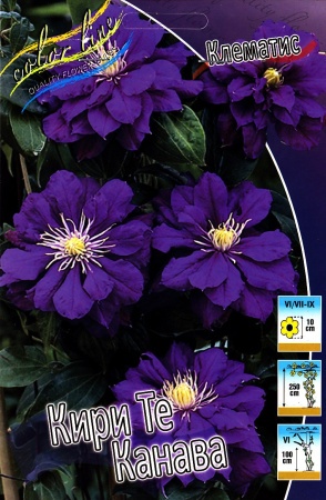 7c4ef246-2cf5-11df-a2b0-00235435134b-1