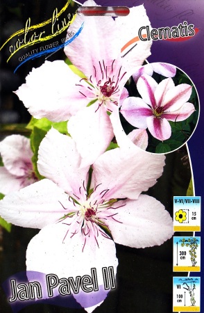 5ac8197f-2cff-11df-a2b0-00235435134b-1