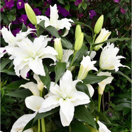 7d6d856f-b38f-11ee-8bd7-001e673ebdea-1