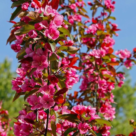 e660a041-cc14-11ef-8915-246e9611e8f5-1