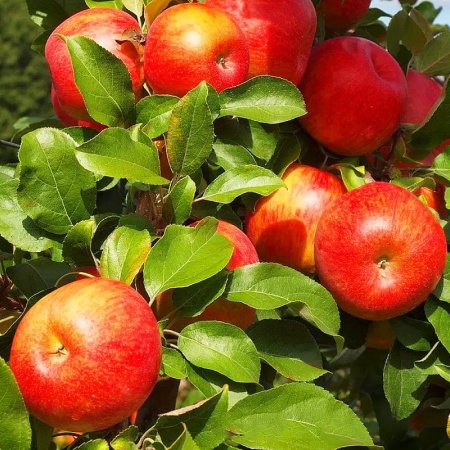 d32f27f3-d545-11ed-97e3-001e673ebdea-1