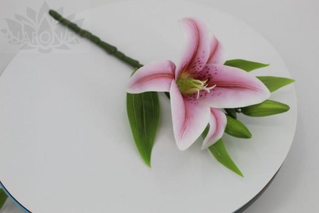 3e78442a-5a43-11f0-891b-246e9611e8f7-1