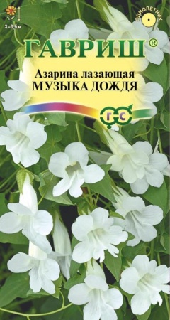 a6d1e852-e86b-11ea-86cc-005056c00008-1