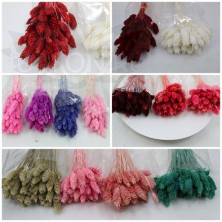 b39671c6-9d01-11ef-8912-246e9611e8f7-1