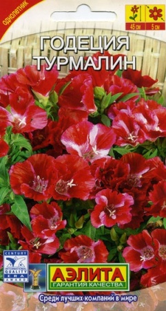 70f41b61-dcea-11dd-9138-00500454e615-2